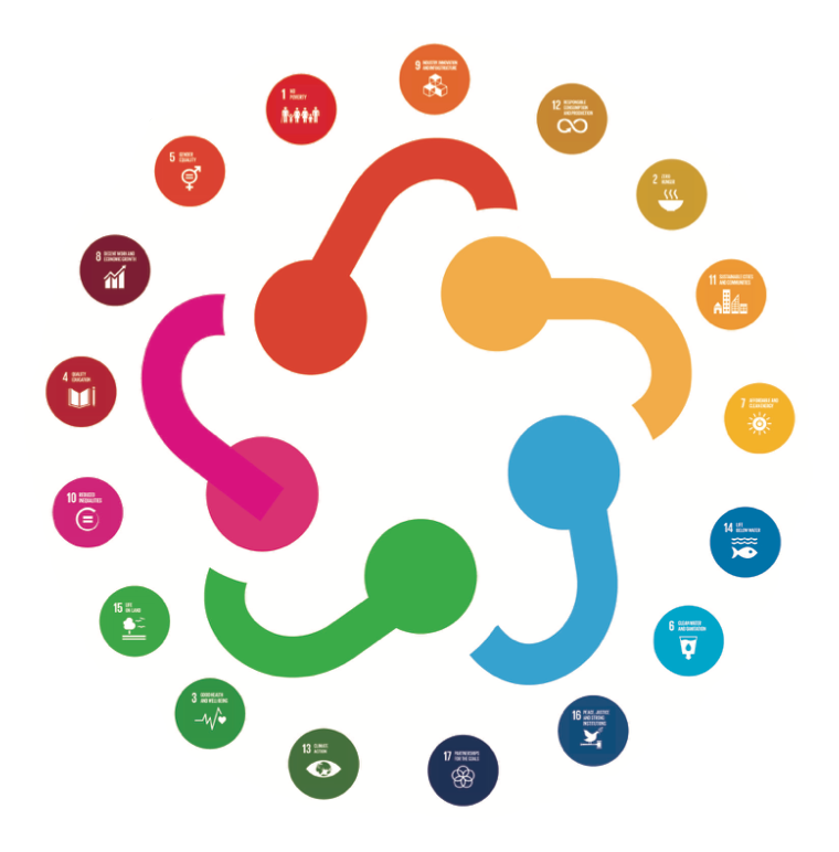 sdg logo